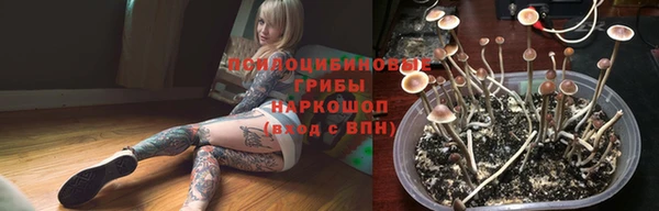 шишки Алзамай