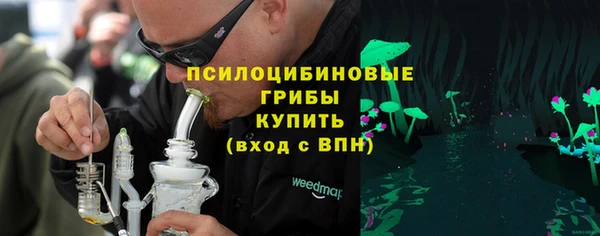 шишки Алексин