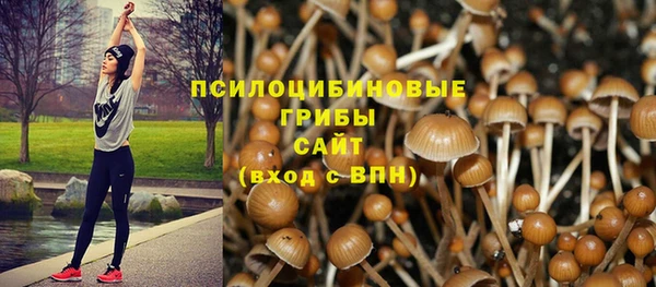 каннабис Алексеевка