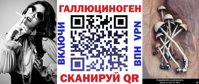 магазин продажи наркотиков Мамоново Псилоцибиновые грибы прущие грибы